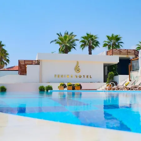 Feniks Priority 4* Okurcalar