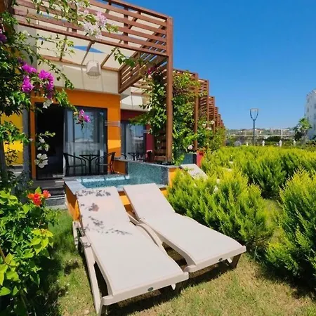 Feniks Priority 4* Okurcalar