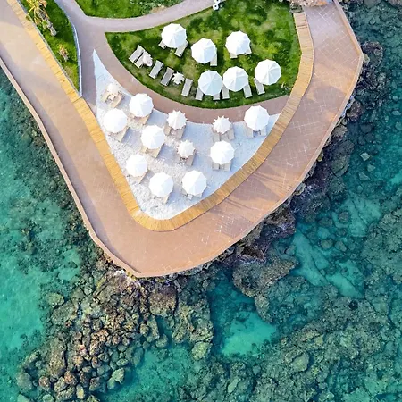 Feniks Priority 4* Okurcalar