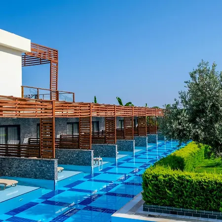 Feniks Priority Okurcalar