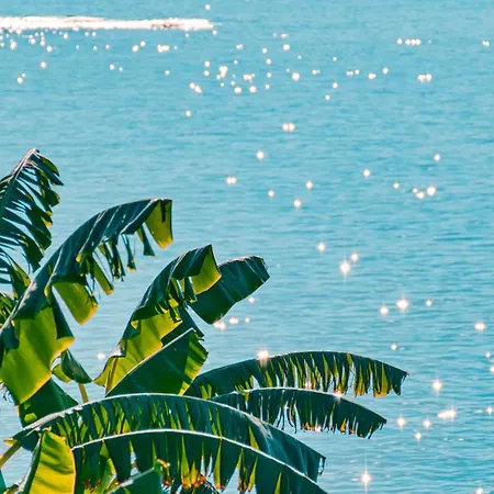 Hotell Feniks Priority