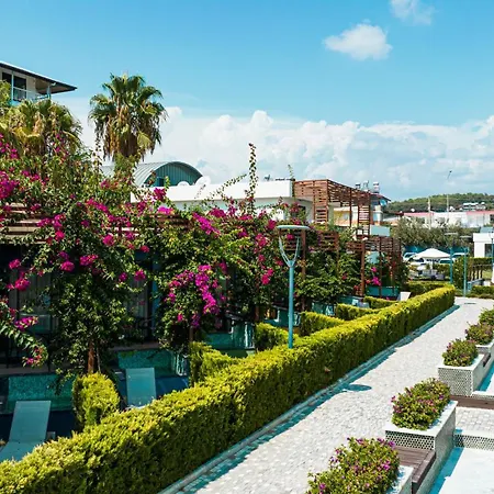 Feniks Priority 4* Okurcalar