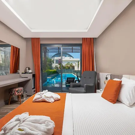 Feniks Priority 4* Okurcalar