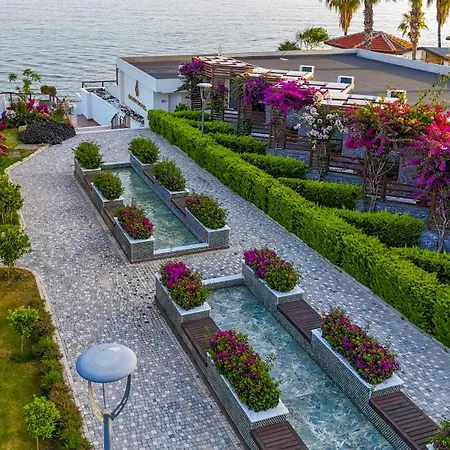 Feniks Priority Okurcalar