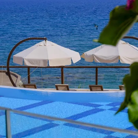 Feniks Priority Hotell Okurcalar