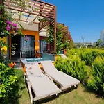 Feniks Priority 4* Okurcalar